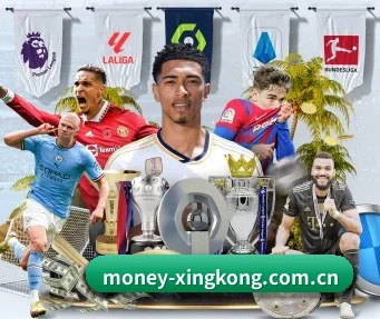 国际化进程（XINGKONG）